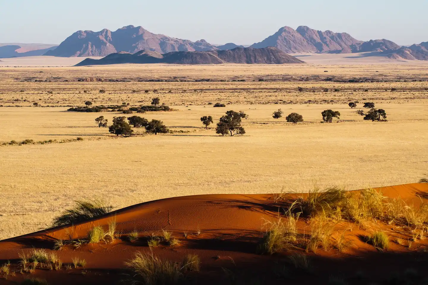 Red sand dune overlooking golden plains and mountains near Sossusvlei, Namibia